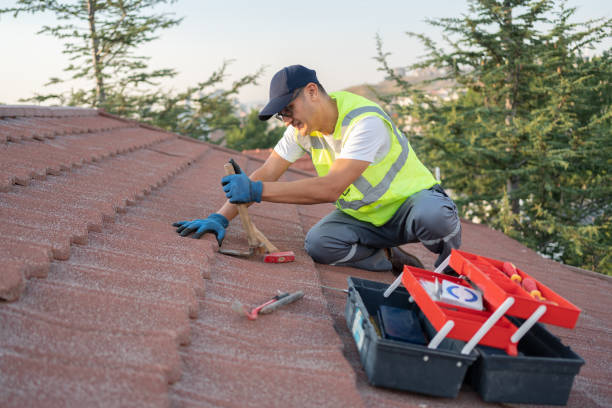 Best Roof Gutter Cleaning  in Lauderdale Lakes, WI