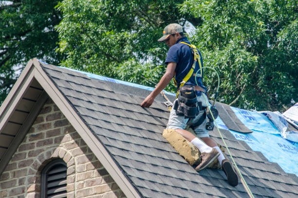 Roof Gutter Cleaning in Lauderdale Lakes, WI